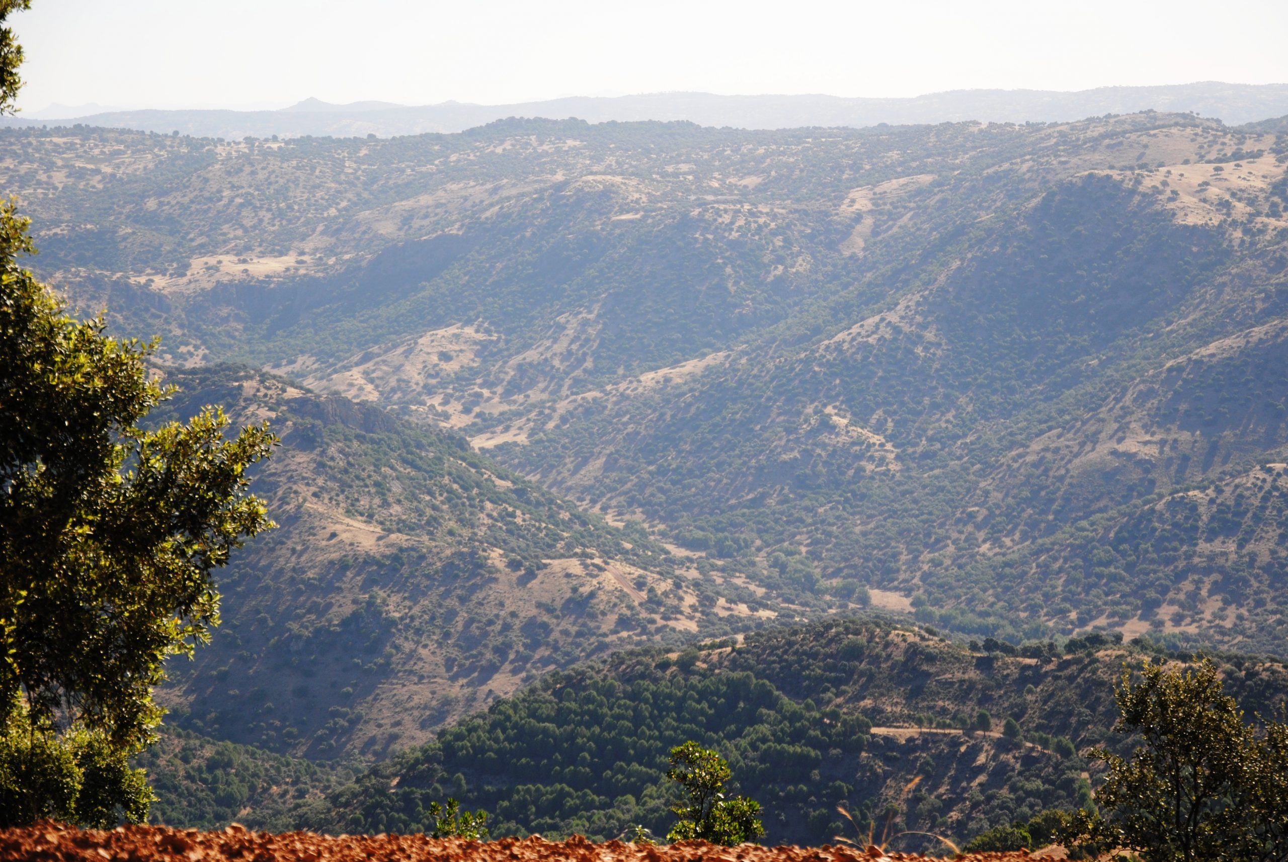 paisaje monteria1